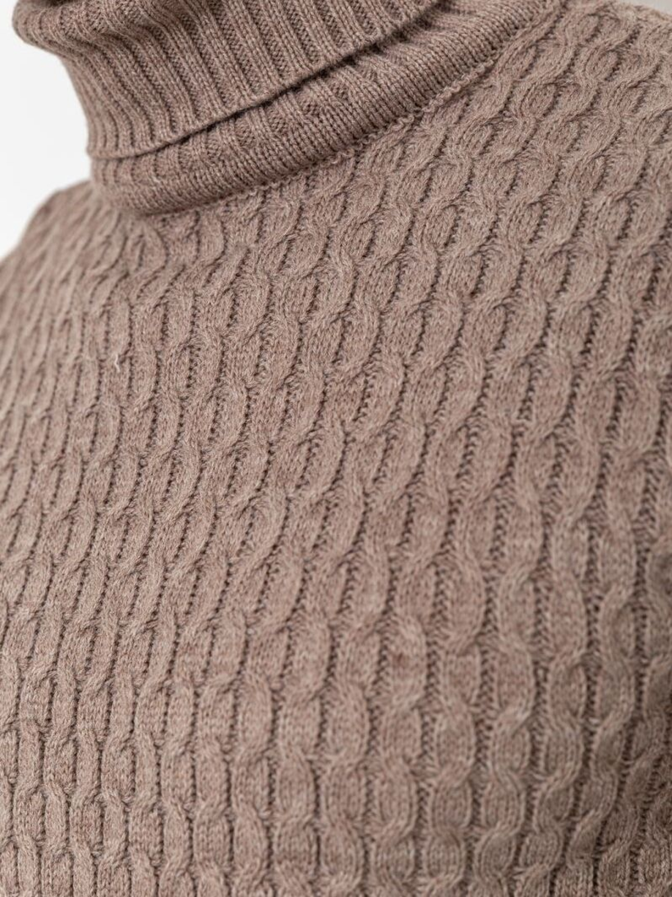 Водолазка Ager модель У-1126546::У-0000141 Фото