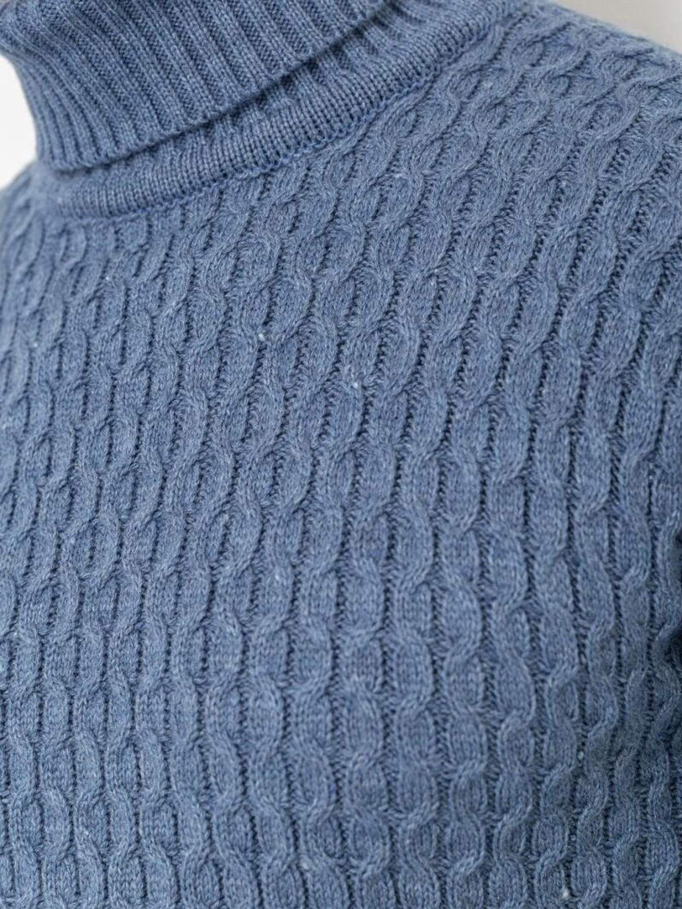 Водолазка Ager модель У-1126546::010002046 Фото