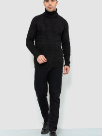 Водолазка Ager модель У-1126546::000000096 Фото