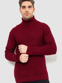 Водолазка Ager модель У-1126545::000000029 Фото