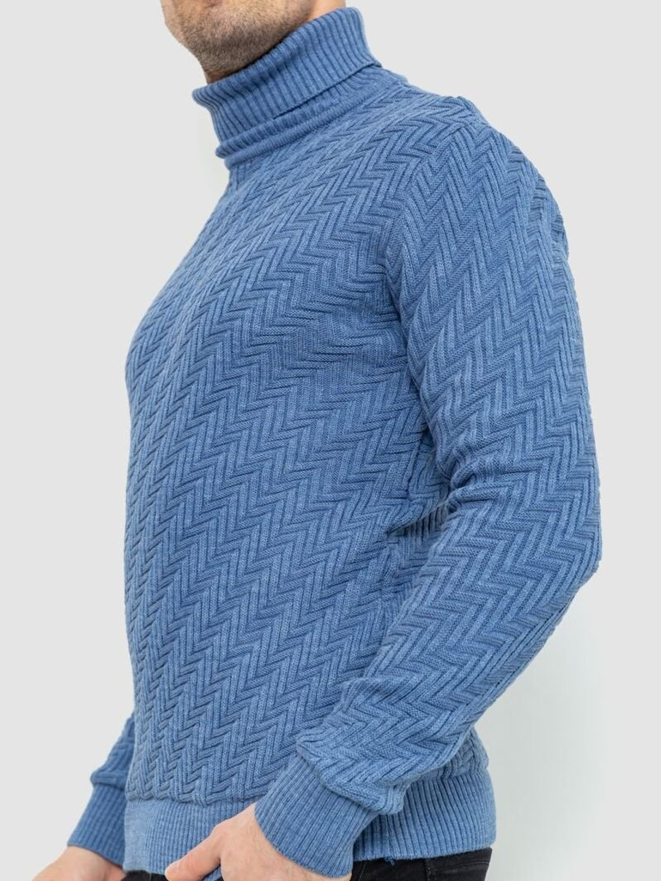 Водолазка Ager модель У-1126545::У-0002878 Фото