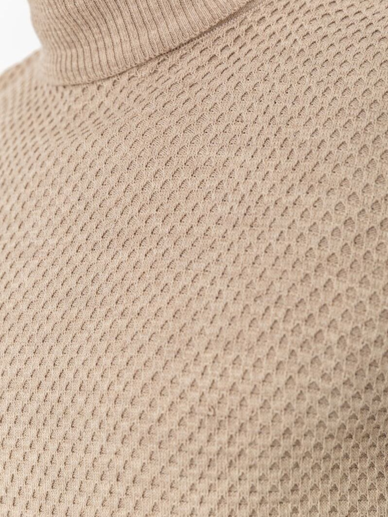 Водолазка Ager модель У-1126544::000000023 Фото