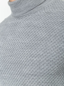 Водолазка Ager модель У-1126544::000000072 Фото