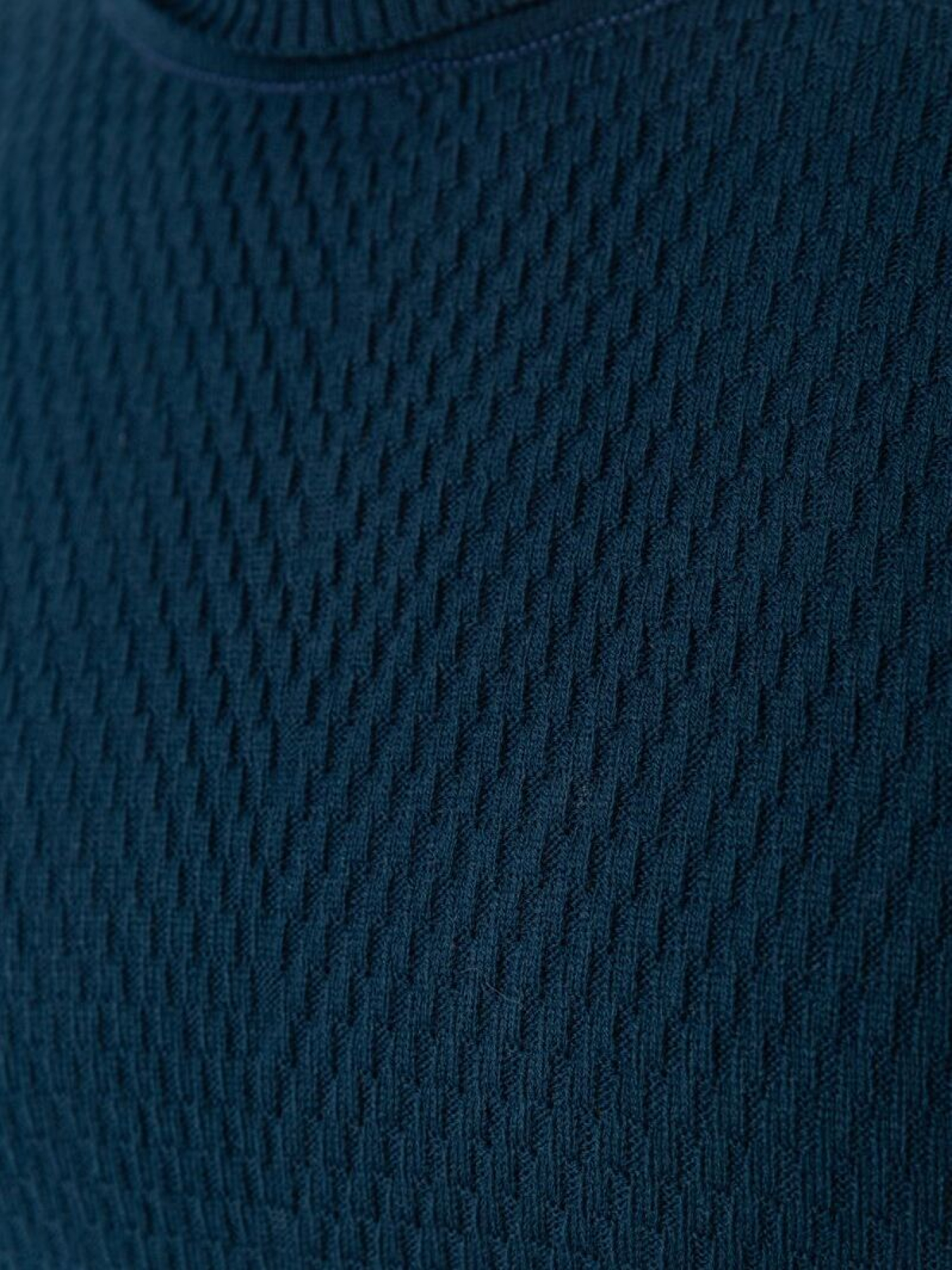 Водолазка Ager модель У-1127064::У-0002878 Фото