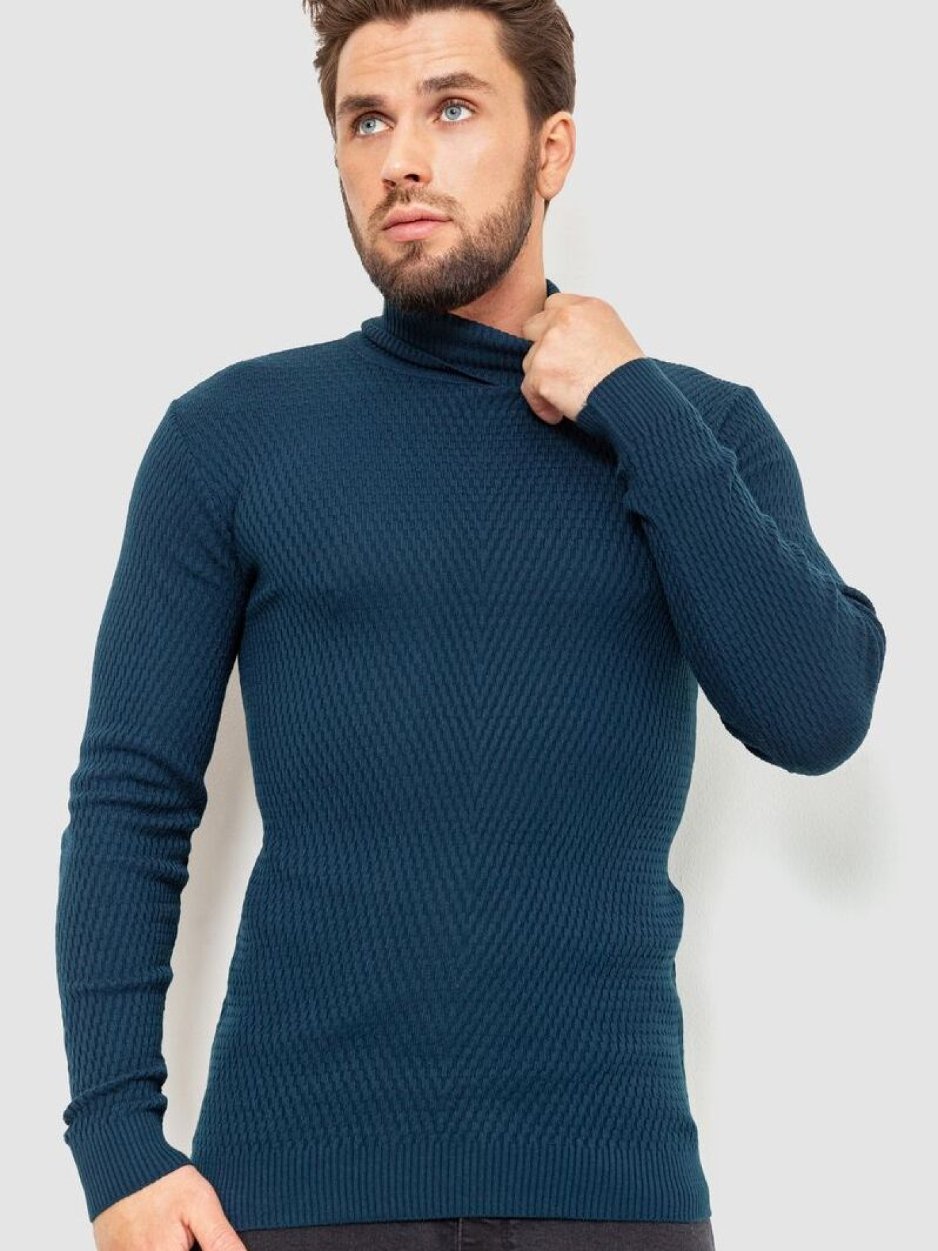 Водолазка Ager модель У-1127064::У-0002878 Фото