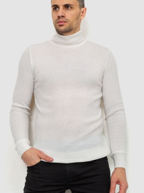 Водолазка Ager модель У-1127064::000000060 Фото