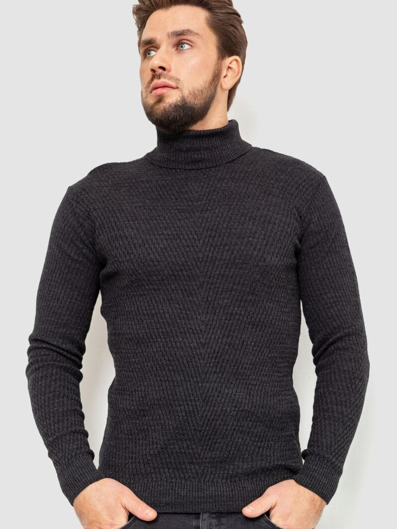 Водолазка Ager модель У-1127064::000000087 Фото