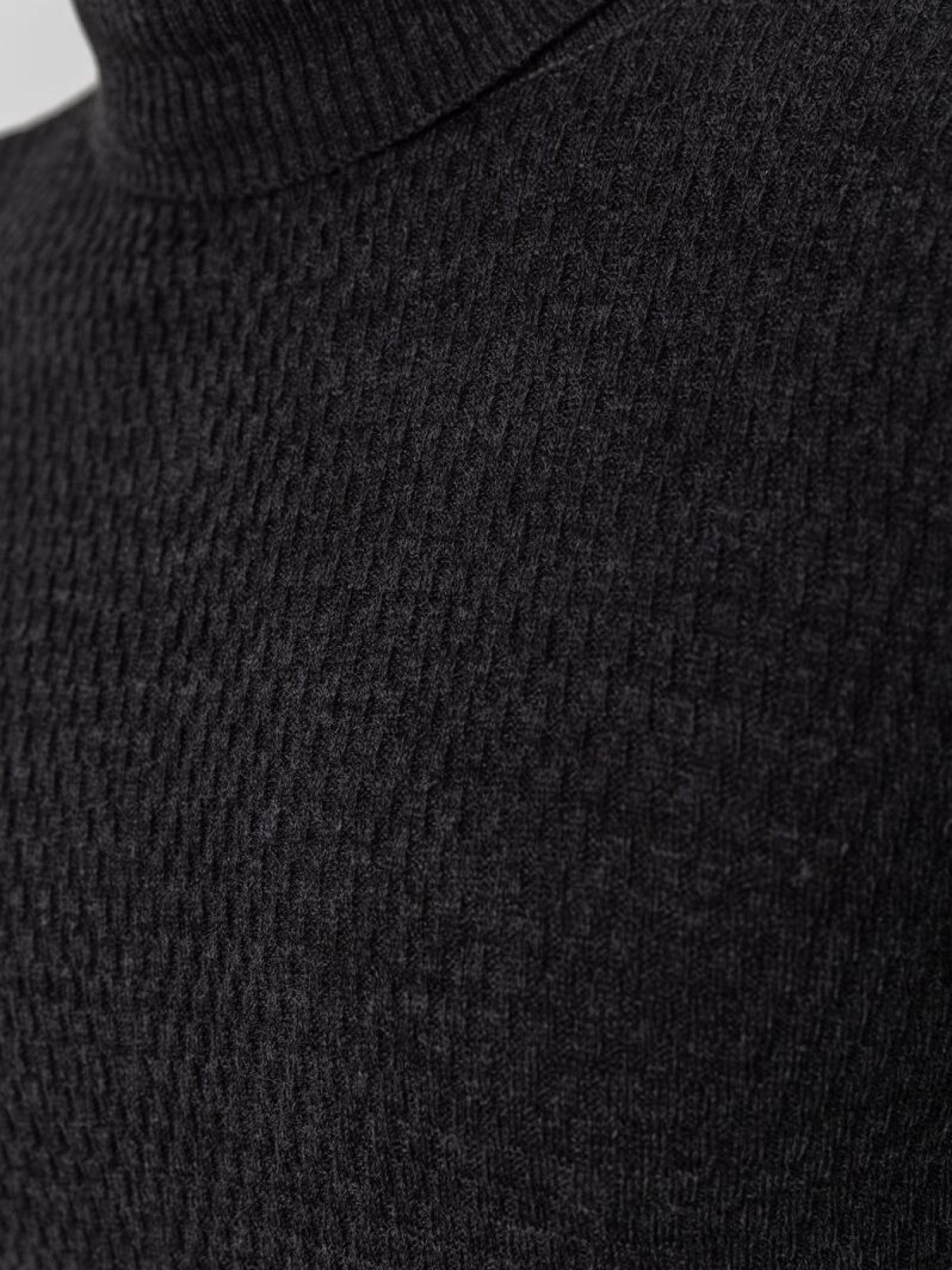 Водолазка Ager модель У-1127064::000000087 Фото