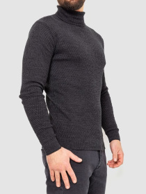 Водолазка Ager модель У-1127064::000000087 Водолазка Ager модель У-1127064::000000087 Фото