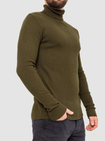 Водолазка Ager модель У-1127064::000000227 Фото