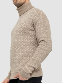 Водолазка Ager модель У-1126547::000000023 Фото