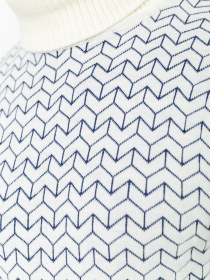 Водолазка Ager модель У-1126547::000000060 Фото