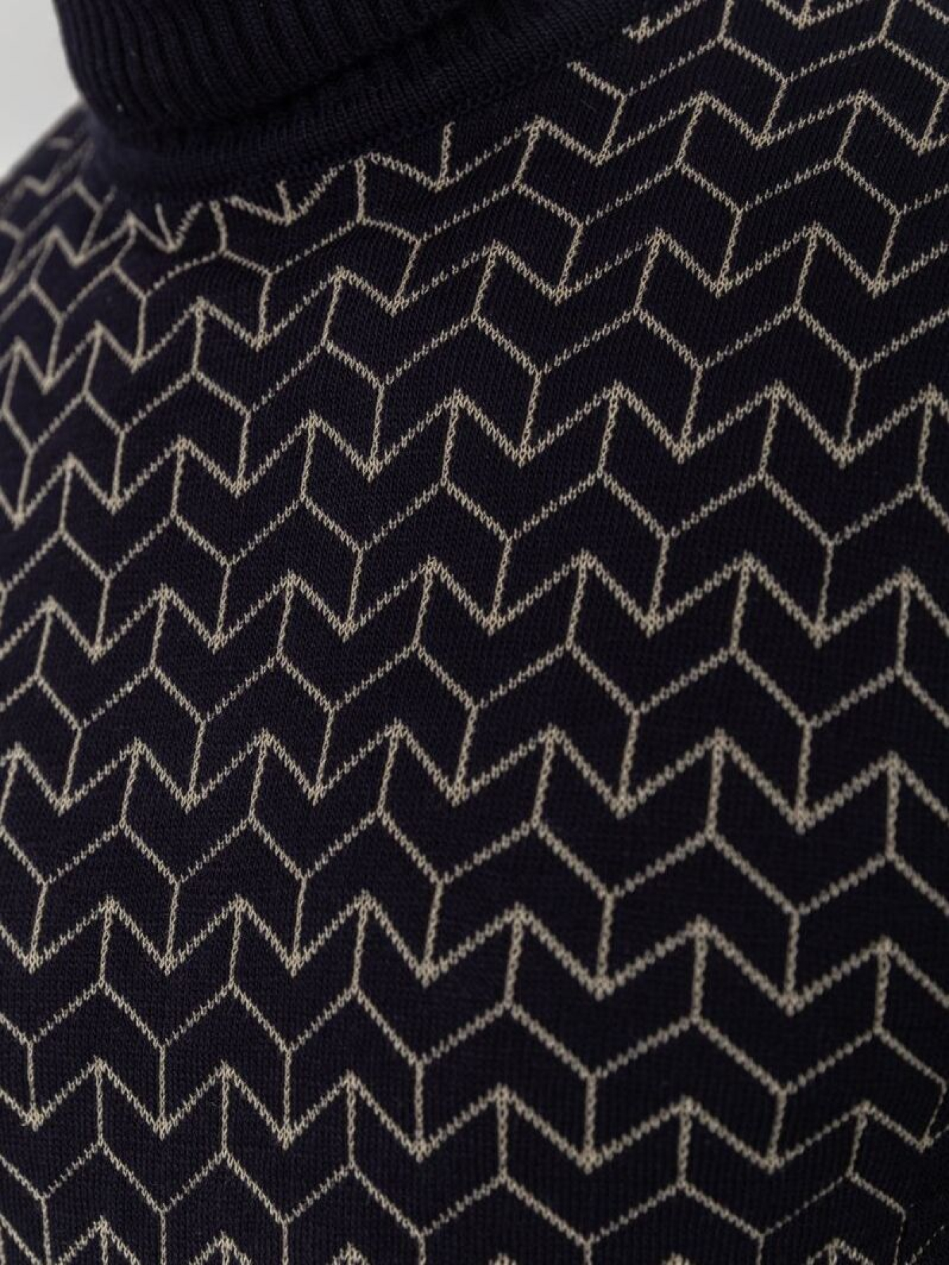 Водолазка Ager модель У-1126547::000000090 Фото