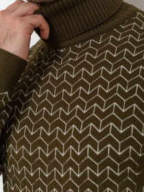 Водолазка Ager модель У-1126547::000000227 Фото