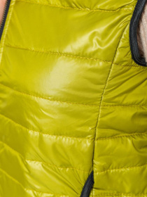 Жилет з утеплювачем Ager модель У-1122118::000000158 Фото