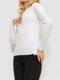 Джемпер Ager модель У-1125411::000000014 Фото