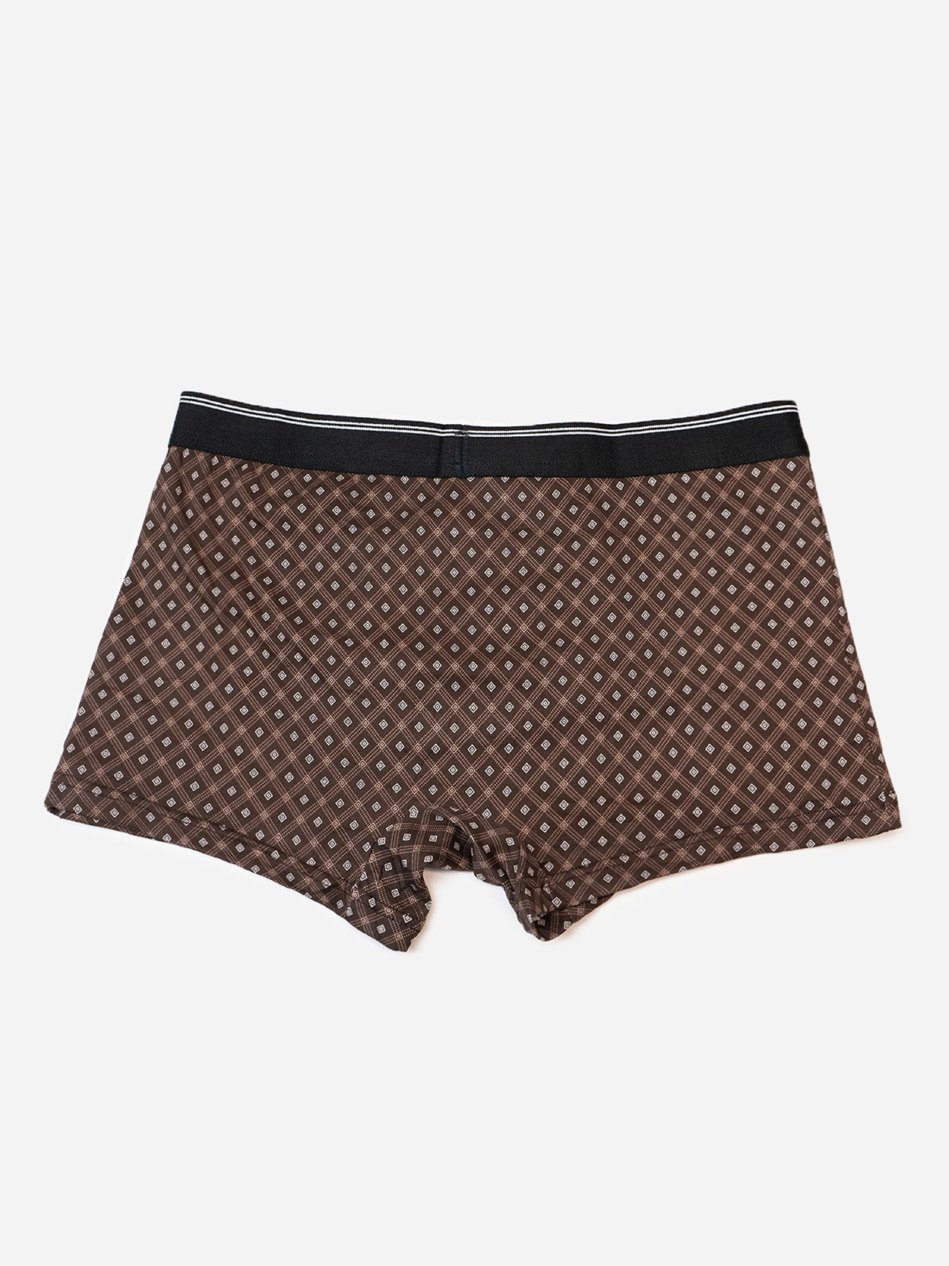 Трусы ISSA Plus модель GN5-231_коричневый Фото