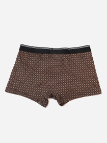 Трусы ISSA Plus модель GN5-231_коричневый Фото