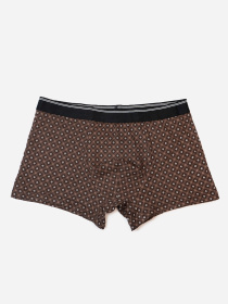 Трусы ISSA Plus модель GN5-231_коричневый Фото