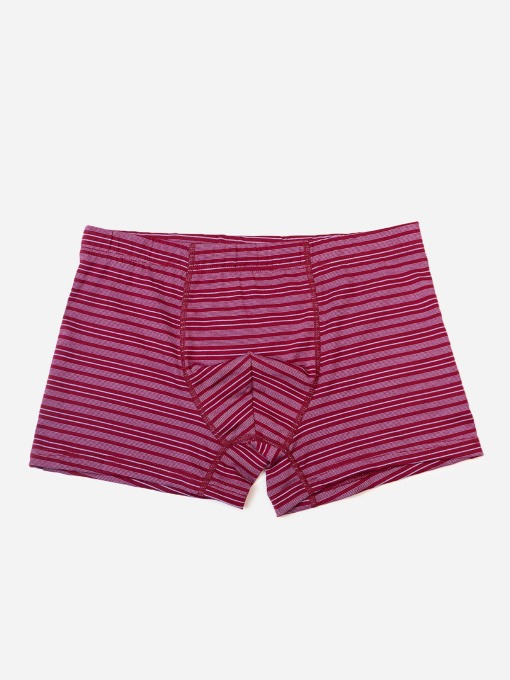 Труси ISSA Plus модель GN5-232_бордовый Фото