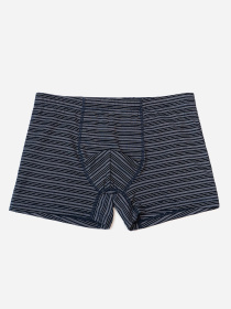 Трусы ISSA Plus модель GN5-232_темно_синий Трусы ISSA Plus модель GN5-232_темно_синий Фото