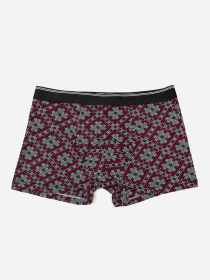 Трусы ISSA Plus модель GN5-233_бордовый Фото