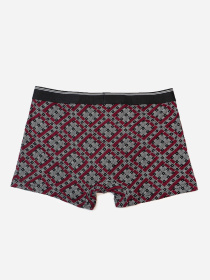 Трусы ISSA Plus модель GN5-233_бордовый Трусы ISSA Plus модель GN5-233_бордовый Фото