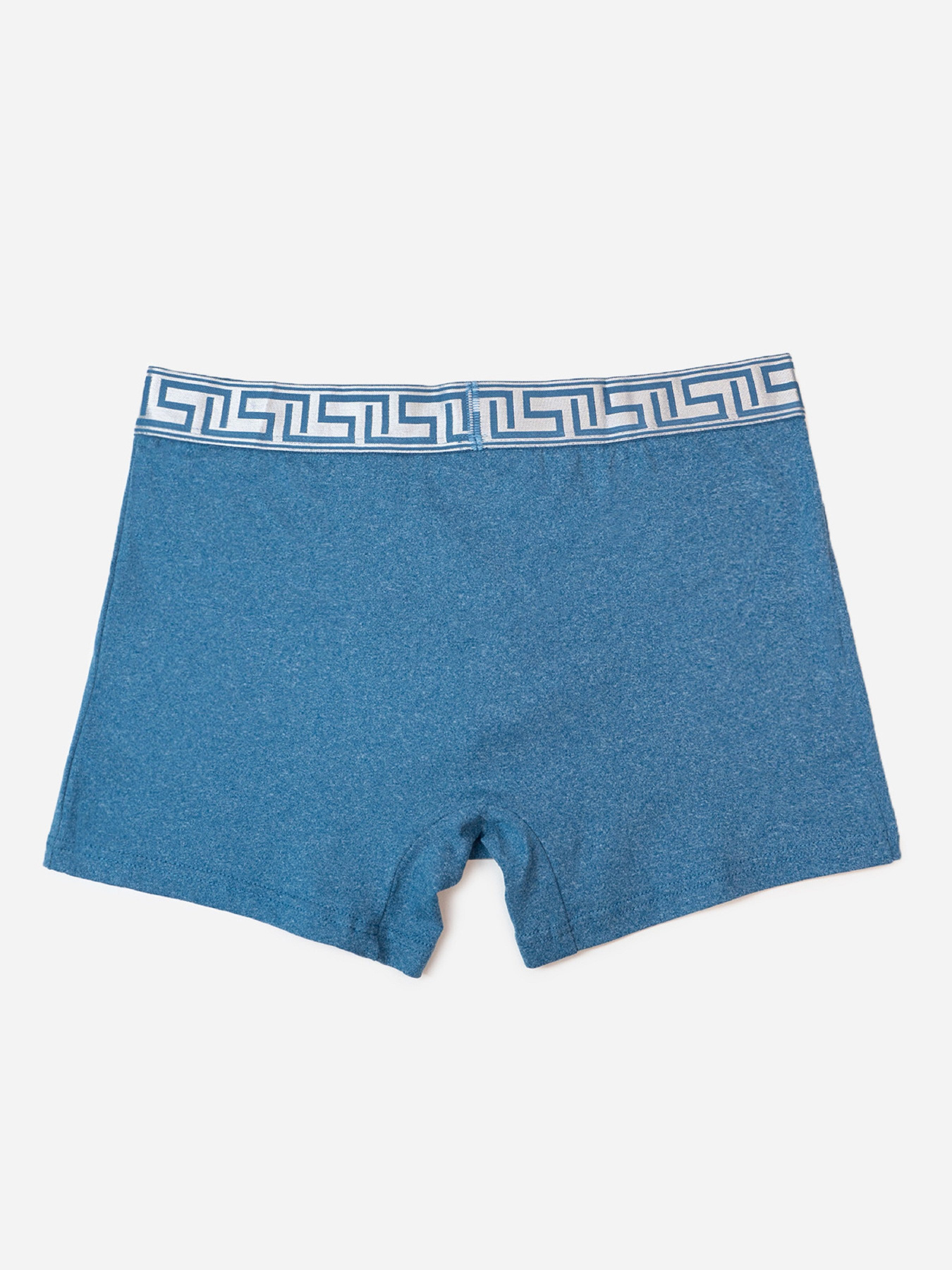 Трусы ISSA Plus модель GN5-234_голубой Фото