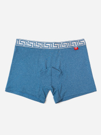 Трусы ISSA Plus модель GN5-234_голубой Фото