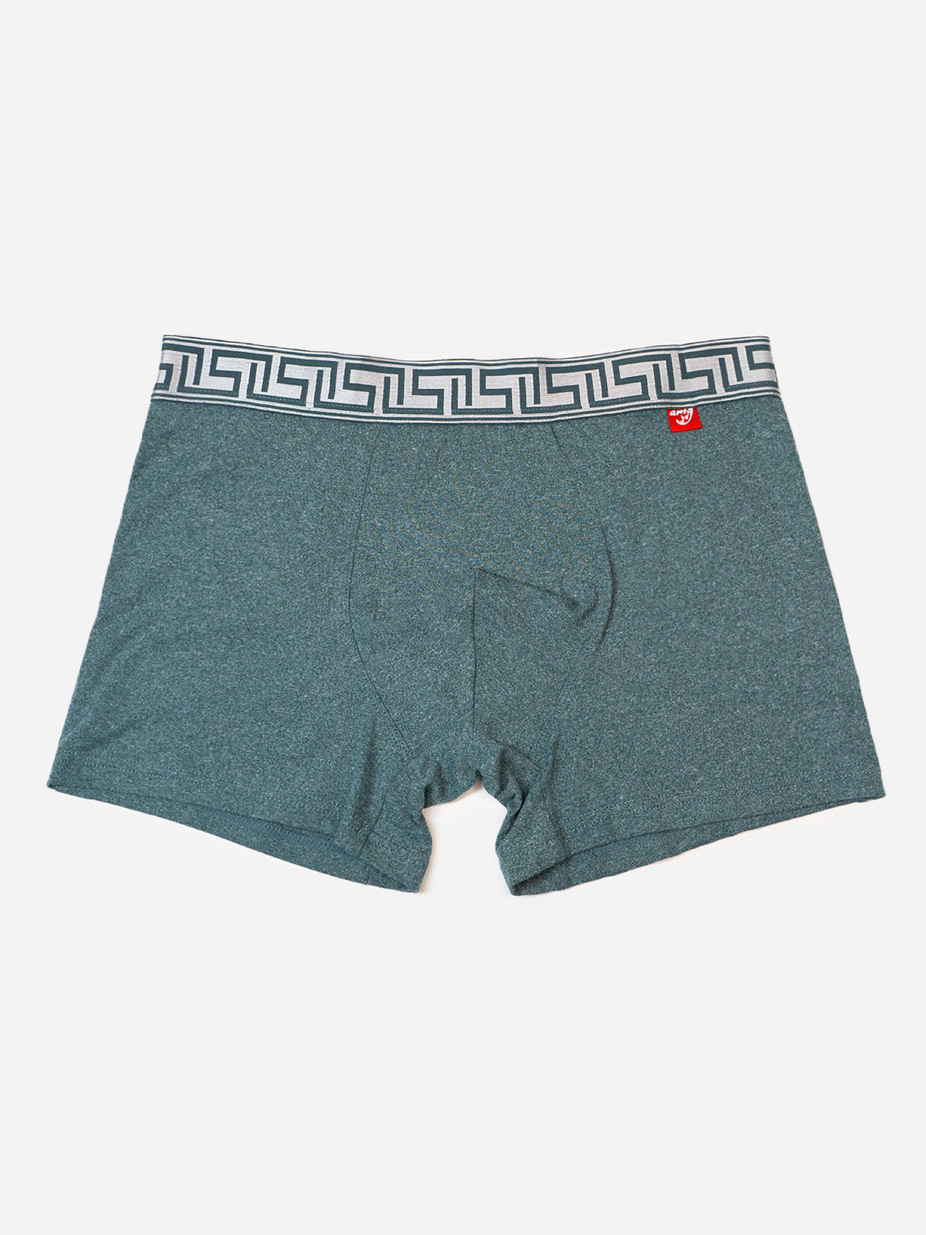 Трусы ISSA Plus модель GN5-234_хаки Фото