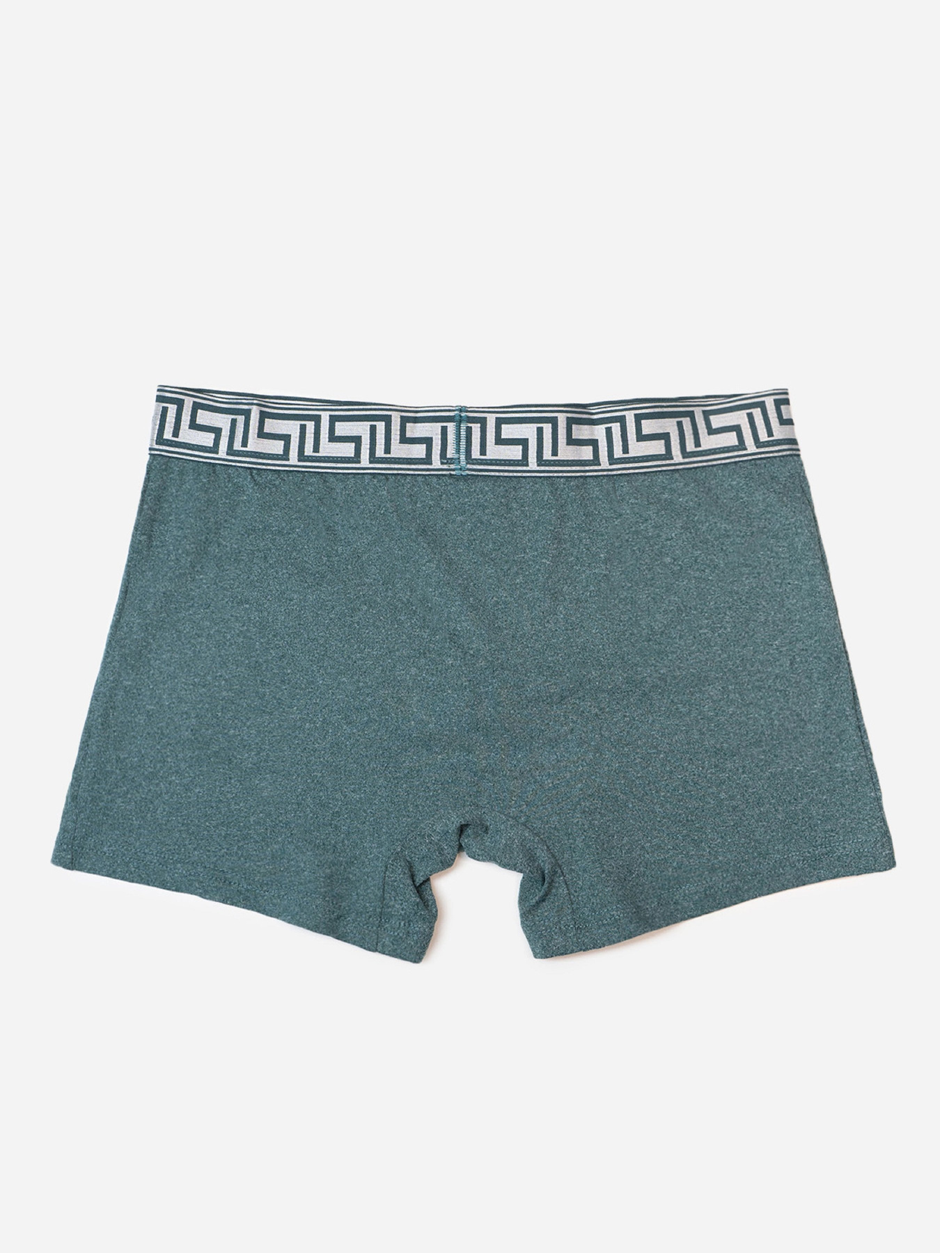 Трусы ISSA Plus модель GN5-234_хаки Трусы ISSA Plus модель GN5-234_хаки Фото