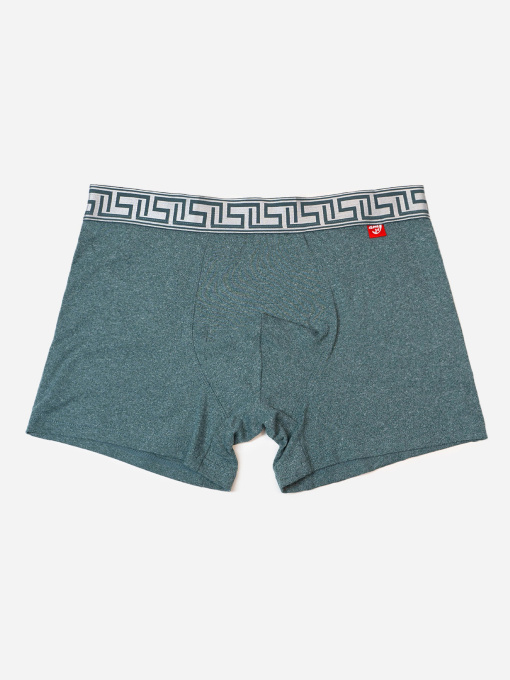 Трусы ISSA Plus модель GN5-234_хаки Фото