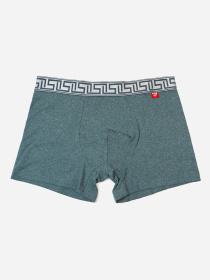 Трусы ISSA Plus модель GN5-234_хаки Трусы ISSA Plus модель GN5-234_хаки Фото