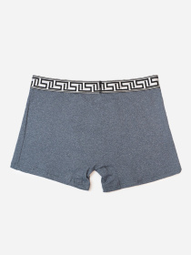 Трусы ISSA Plus модель GN5-234_серый Фото