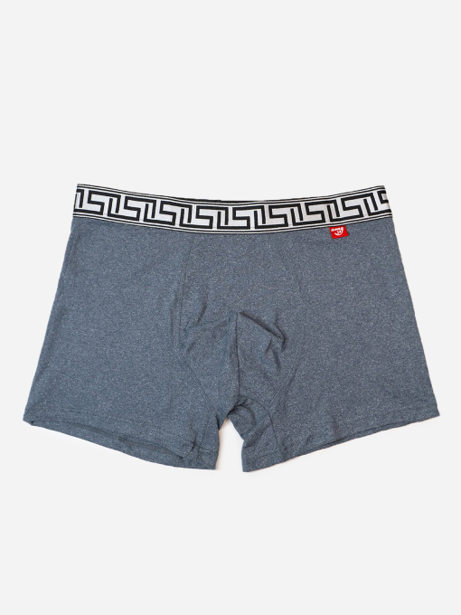 Труси ISSA Plus модель GN5-234_серый Фото