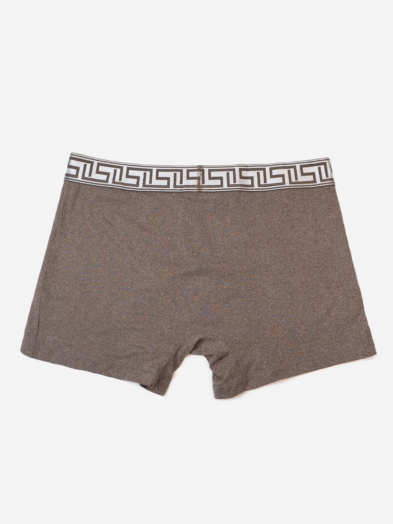 Трусы ISSA Plus модель GN5-234_коричневый Фото