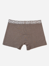 Трусы ISSA Plus модель GN5-234_коричневый Фото