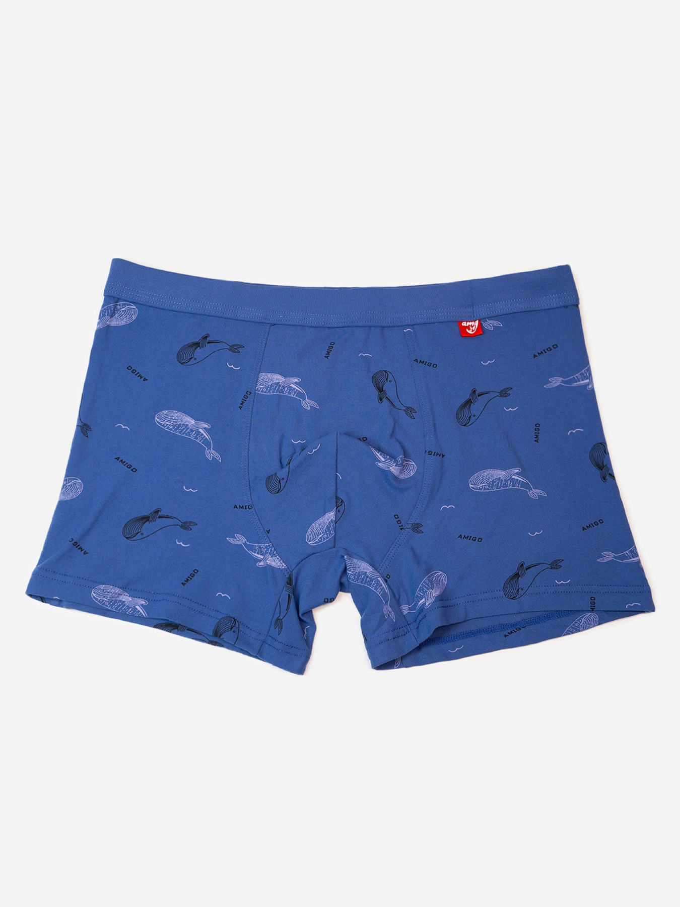 Трусы ISSA Plus модель GN5-235_синий Фото