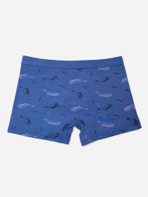 Трусы ISSA Plus модель GN5-235_синий Фото