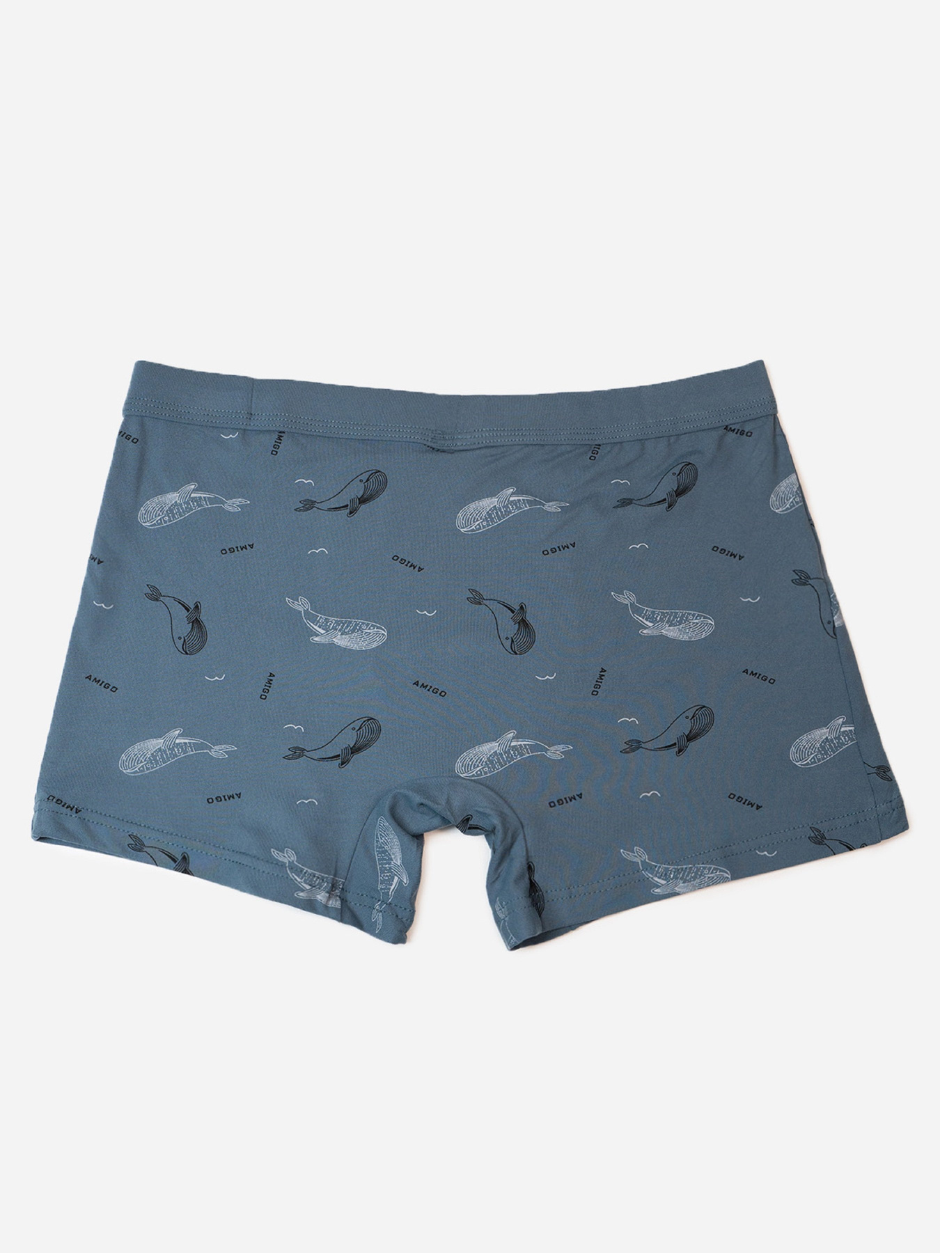 Трусы ISSA Plus модель GN5-235_темно_серый Фото