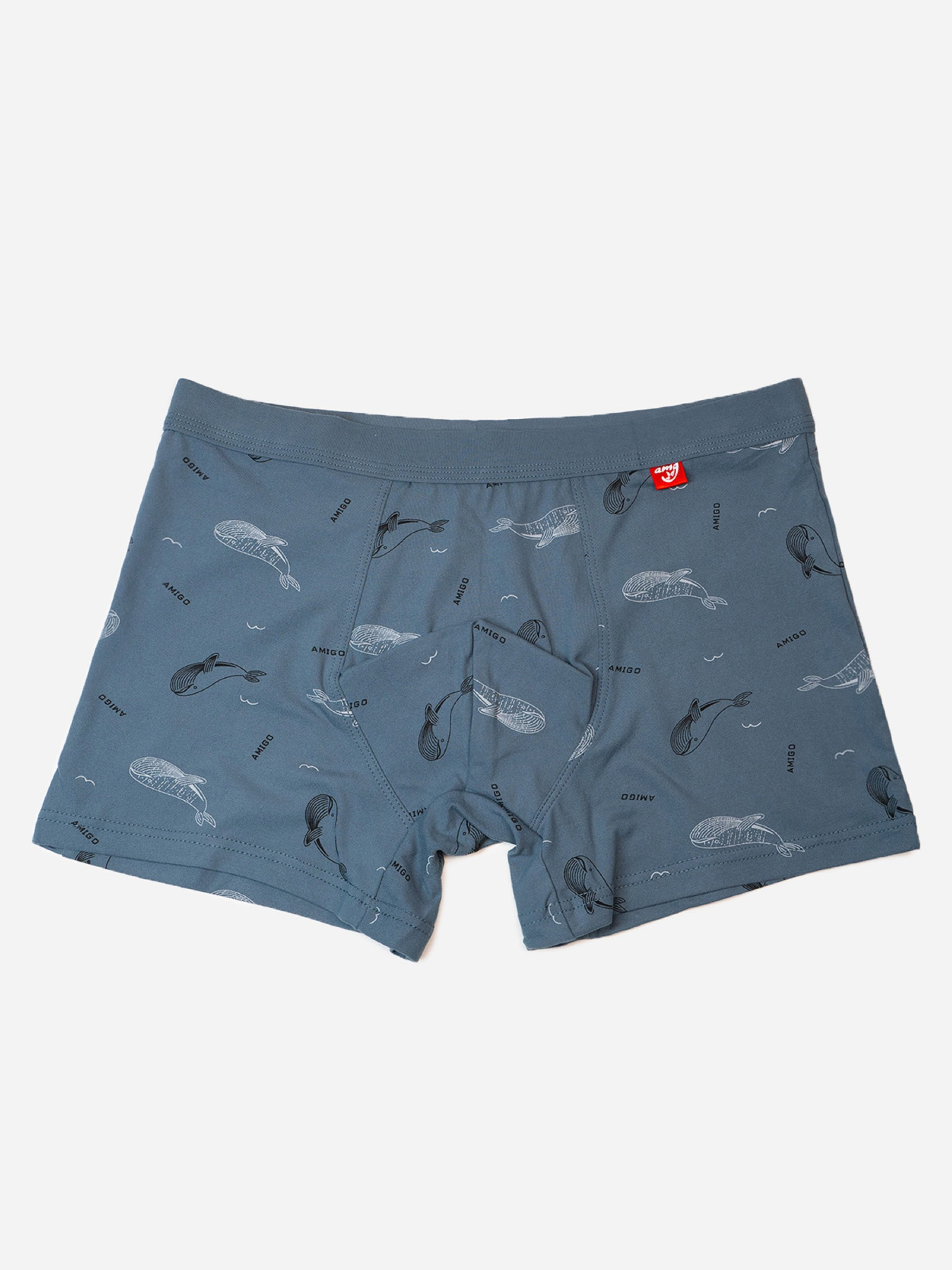 Трусы ISSA Plus модель GN5-235_темно_серый Фото