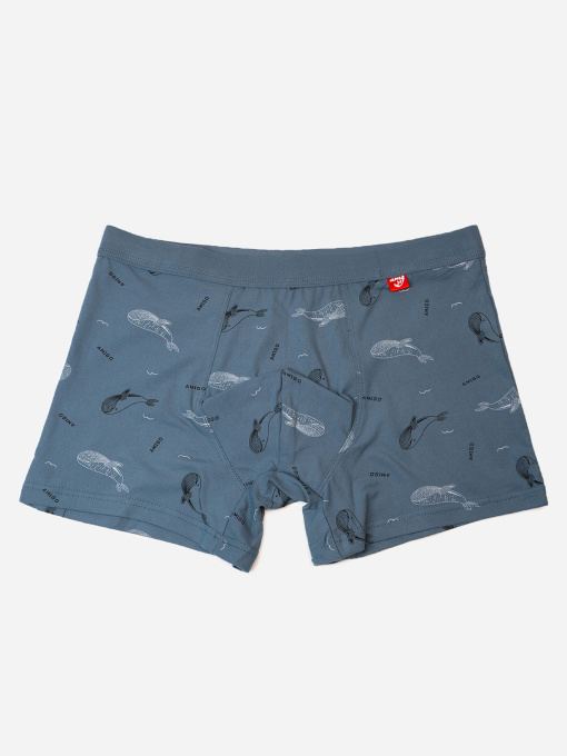 Труси ISSA Plus модель GN5-235_темно_серый Фото