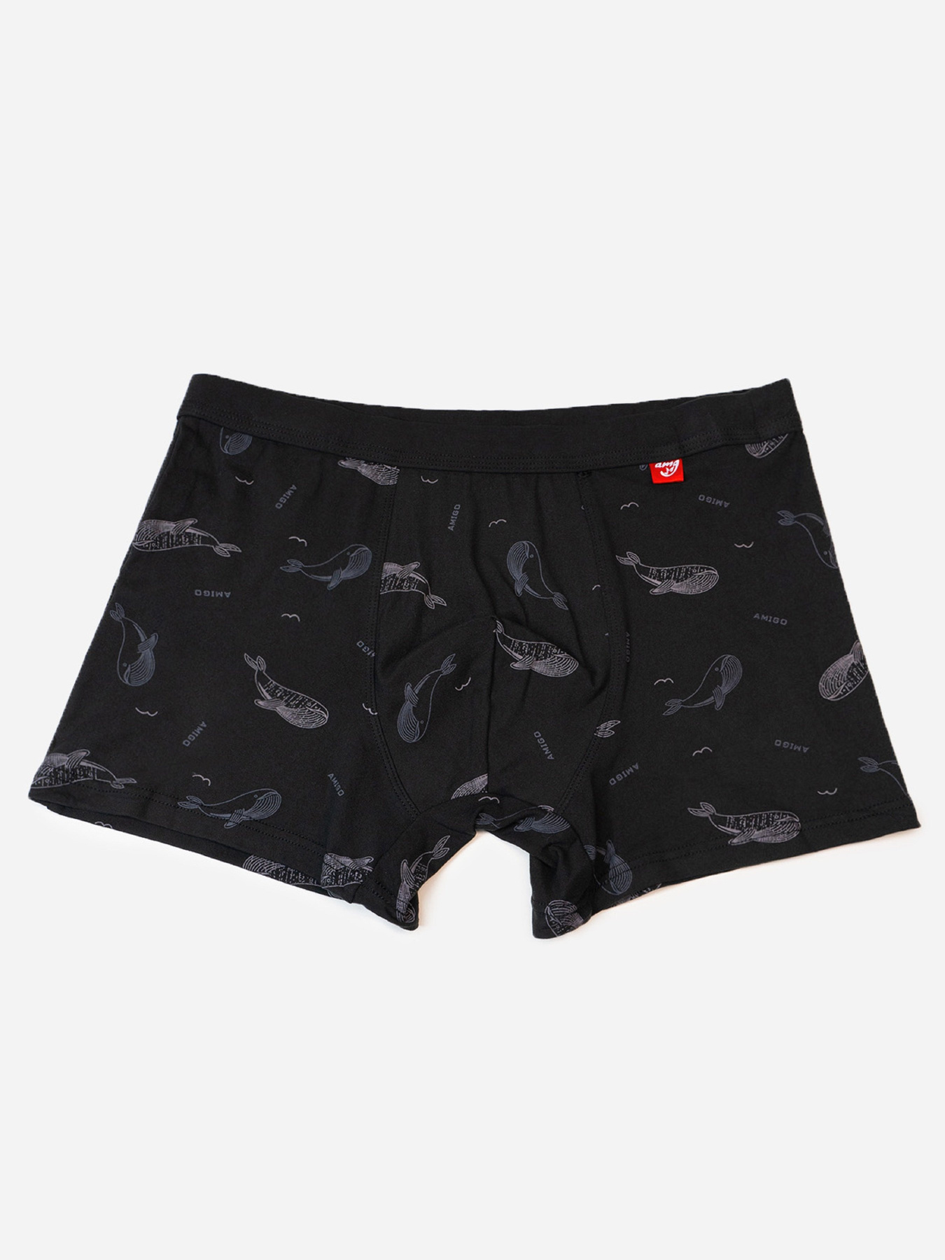 Трусы ISSA Plus модель GN5-235_черный Фото