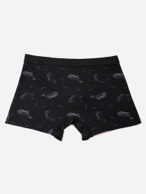 Трусы ISSA Plus модель GN5-235_черный Фото