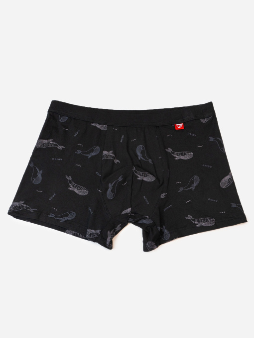 Труси ISSA Plus модель GN5-235_черный Фото