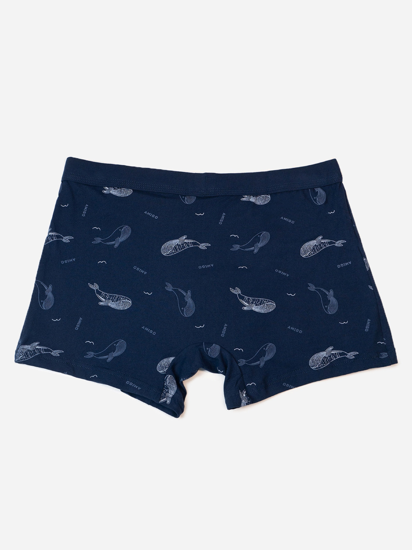 Трусы ISSA Plus модель GN5-235_темно_синий Фото