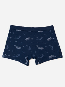 Трусы ISSA Plus модель GN5-235_темно_синий Фото