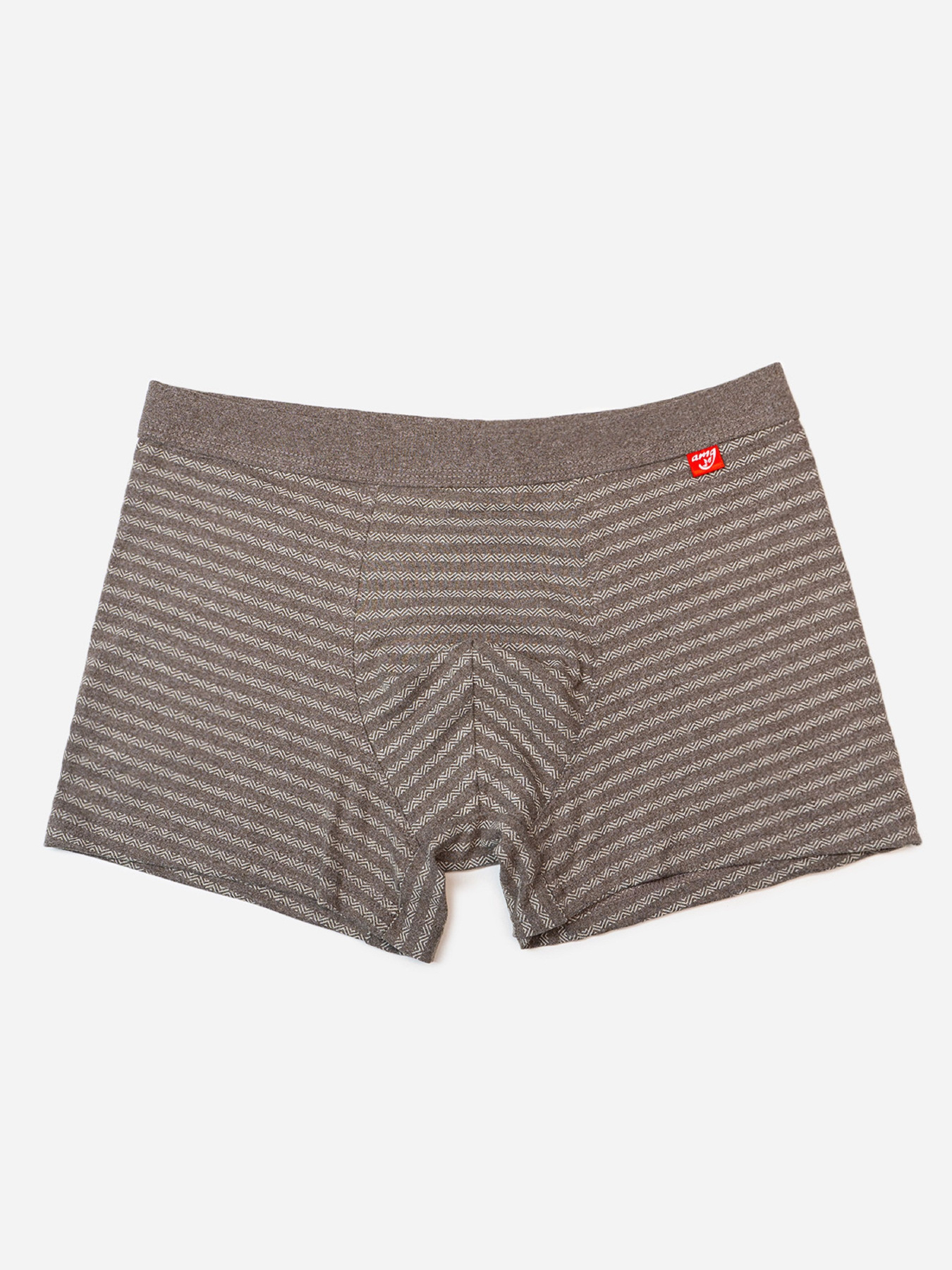 Трусы ISSA Plus модель GN5-236_коричневый Фото