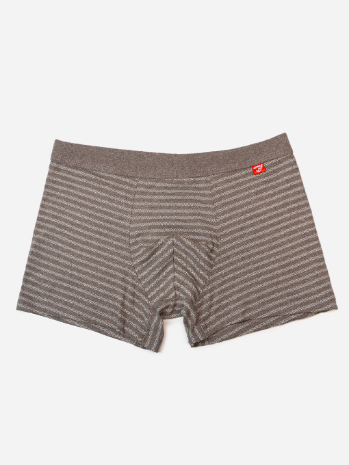 Труси ISSA Plus модель GN5-236_коричневый Фото