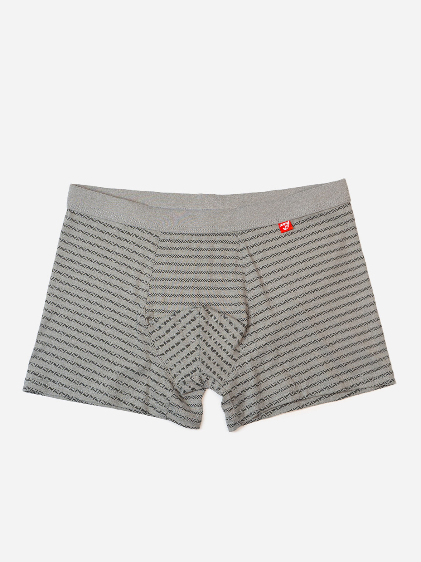 Трусы ISSA Plus модель GN5-236_серый Фото